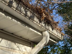 prevent clogged gutters