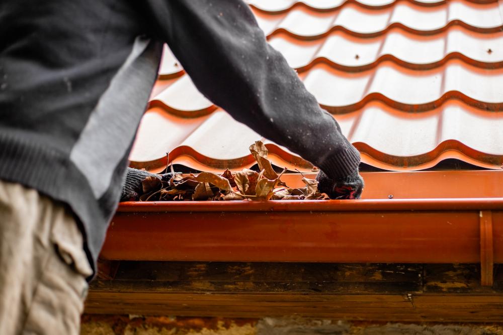 gutter-cleaning-services